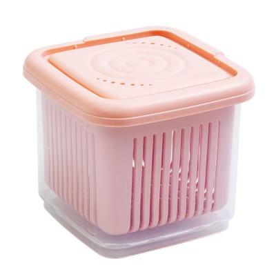 Plastic lunch box